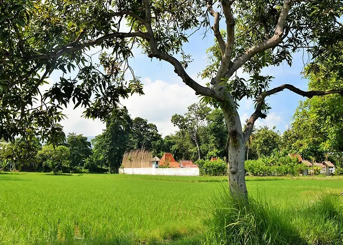 Villa Lata Lovina (Bali)