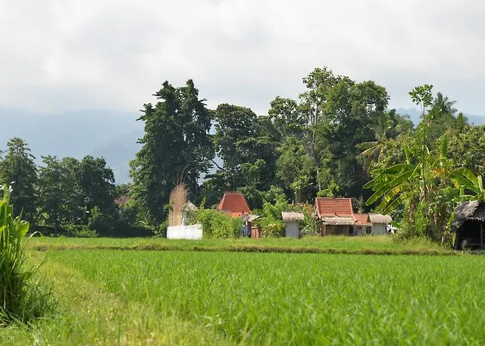 Lata Villa Lovina (Bali)