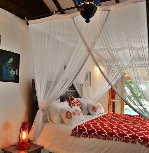 Lata Lovina (Bali)
