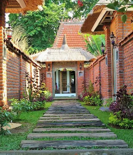 Lata * Lovina (Bali)