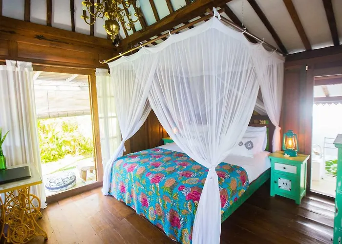 Lata * Lovina (Bali)